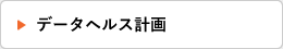 データヘルス計画