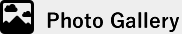 Photo Gallery